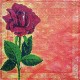 Салфетка для декупажа "Бордовая роза" бумажная, 33х33 см